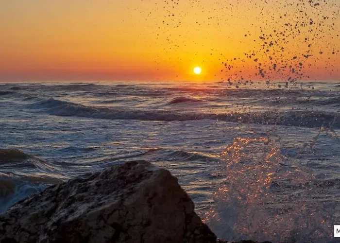 La Olteanu Konukevi Vadu