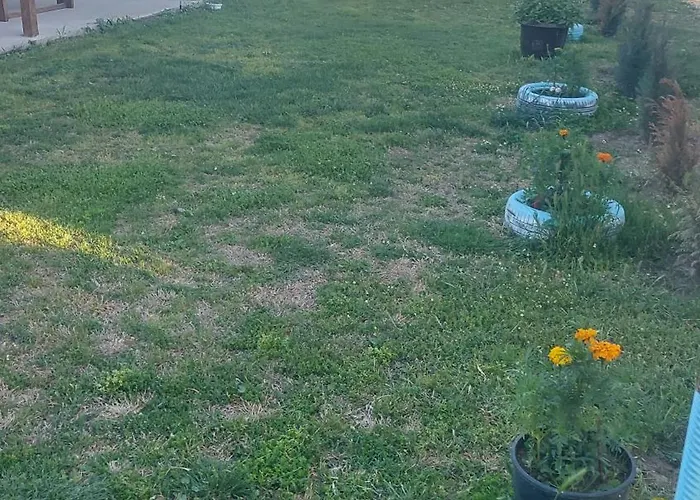 La Olteanu Konukevi Vadu