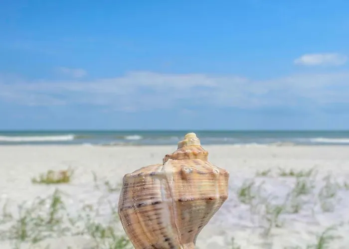 La Olteanu Konukevi 3*