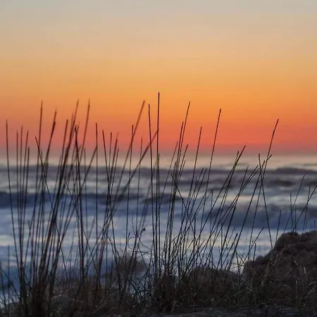 La Olteanu 3* バドゥ