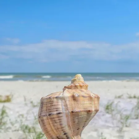 La Olteanu ゲストハウス 3*