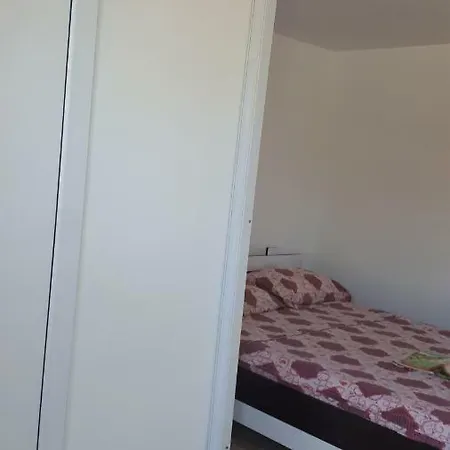 La Olteanu Gasthof Vadu