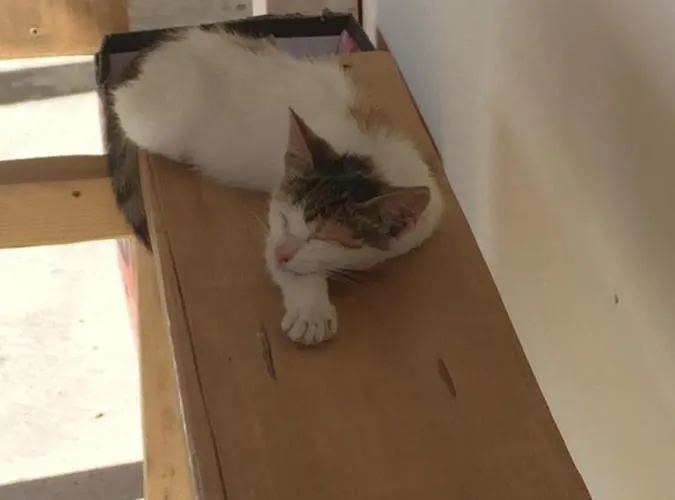 Pensiune La Olteanu 3*